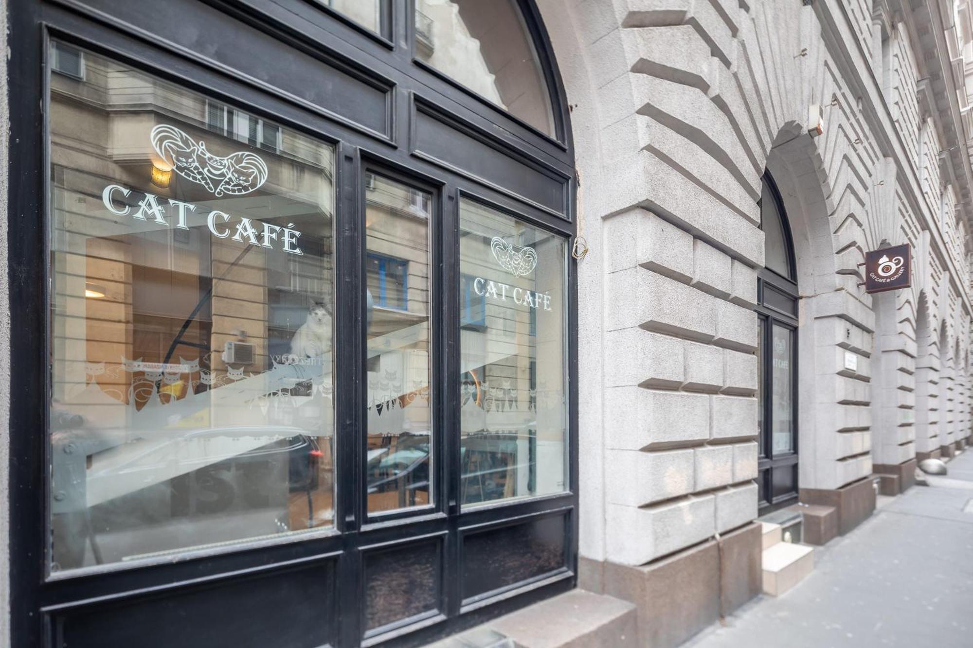 Excellent Location, Cozy Apartment Budapest Ngoại thất bức ảnh
